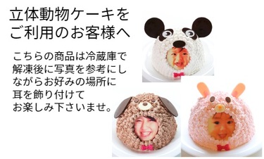 写真ケーキ／立体どうぶつケーキ