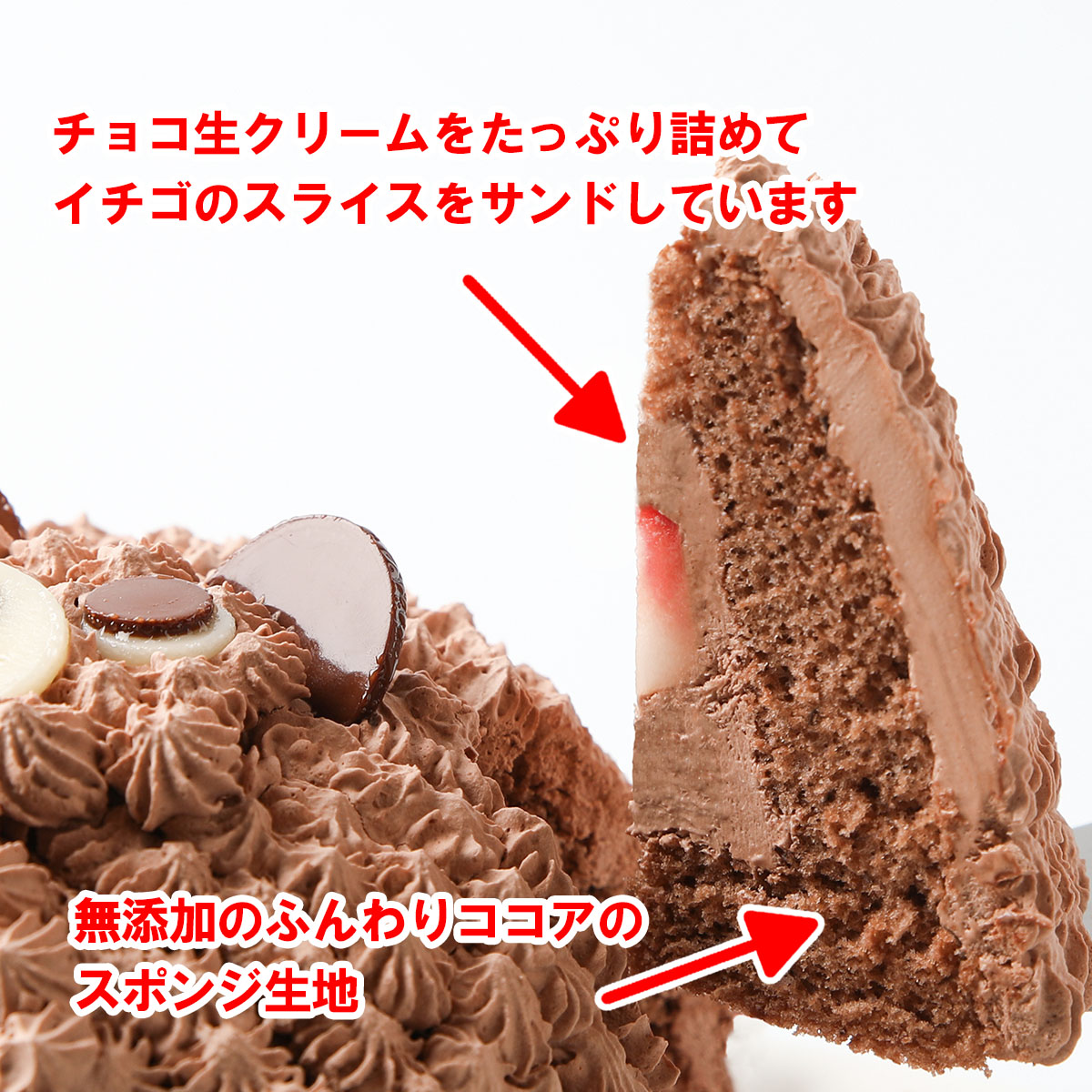 写真ケーキ／立体どうぶつケーキ