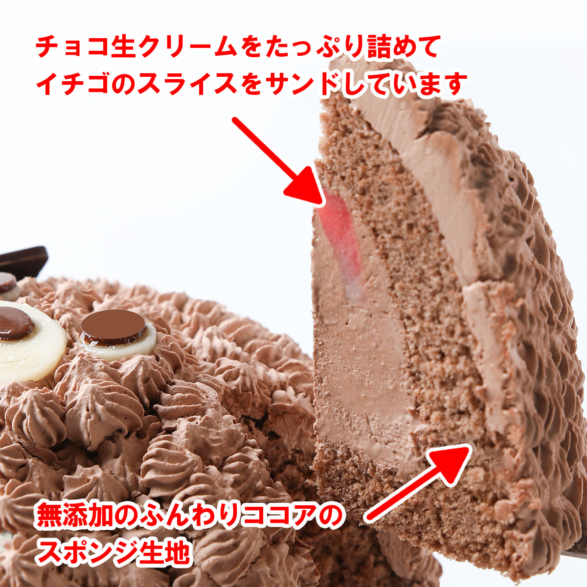写真ケーキ／立体どうぶつケーキ