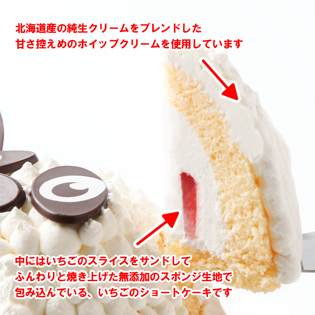 写真ケーキ／立体どうぶつケーキ