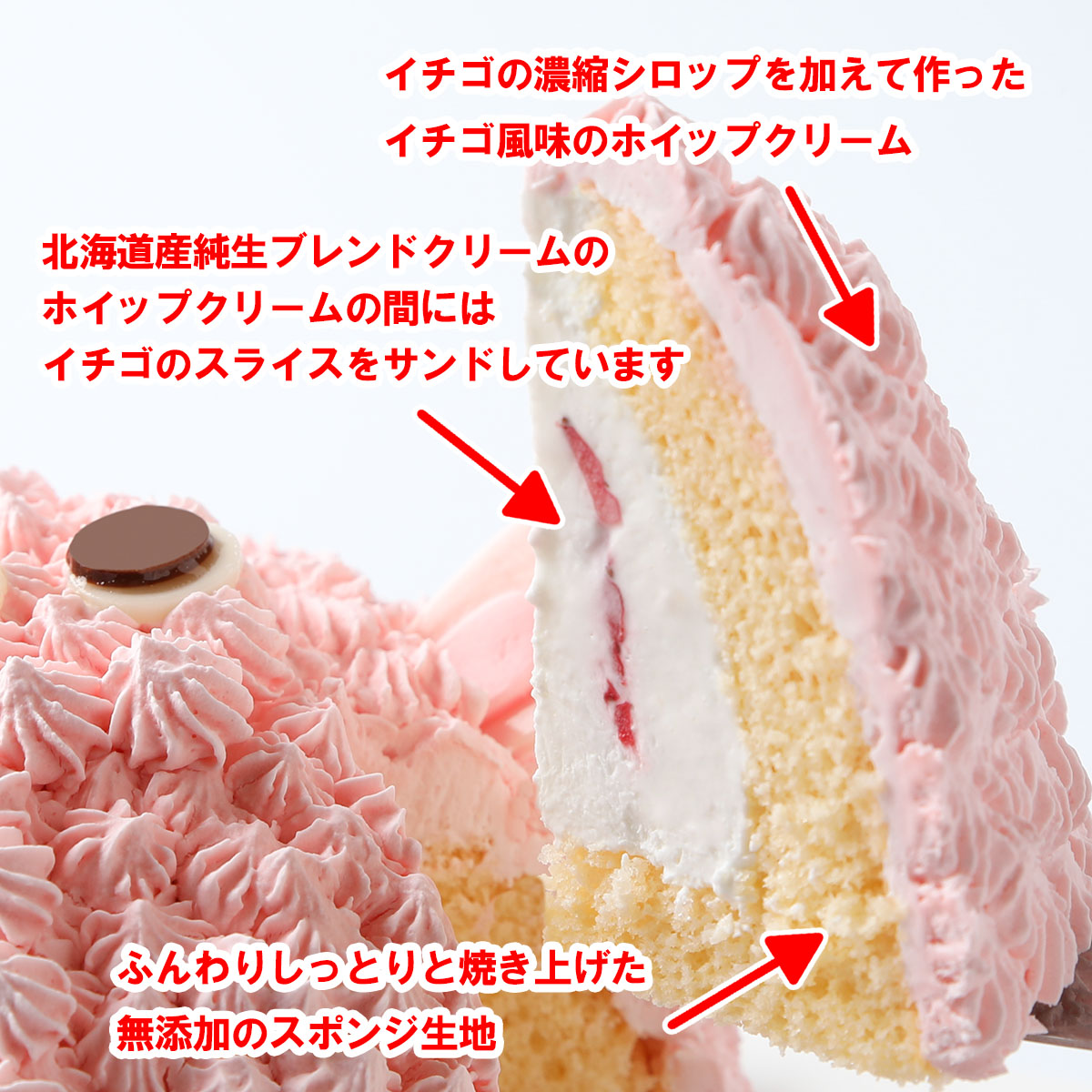 写真ケーキ／立体どうぶつケーキ