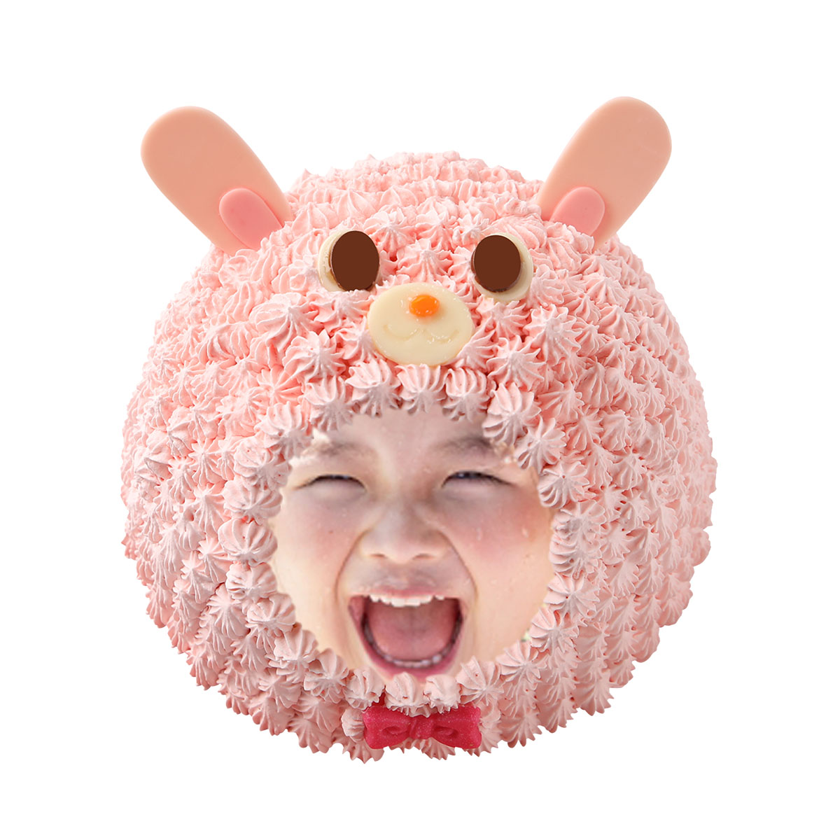 写真ケーキ／立体どうぶつケーキ