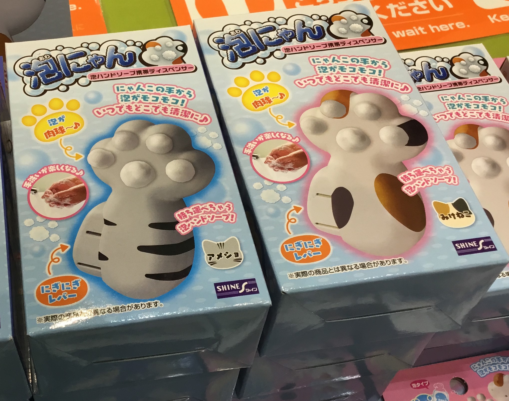 泡にゃん