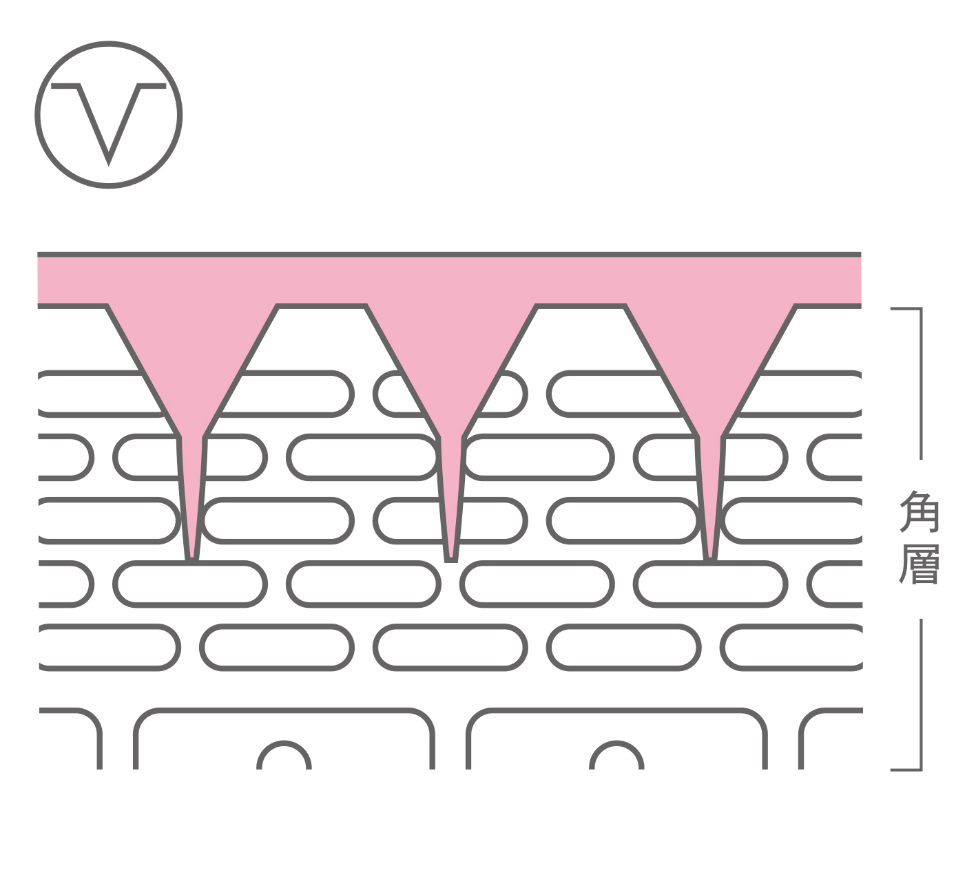 ReFa HARI MAKE リファハリメイク 4包