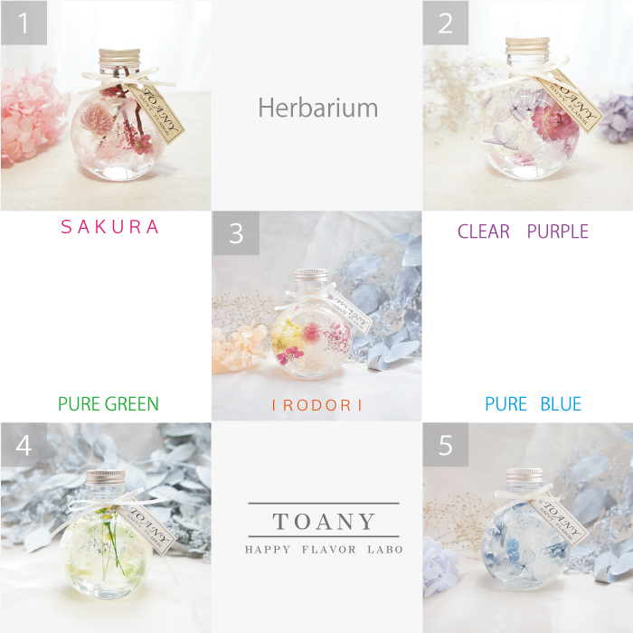 ◆ハーバリウム　305　ふわふわラナンの春色bottle *.:。✿*゜ TOANYハーバリウム 全5種類 | TOANY HAPPY FLAVOR（トアニーハッピー