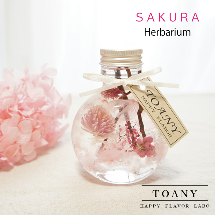 TOANYハーバリウム　全5種類