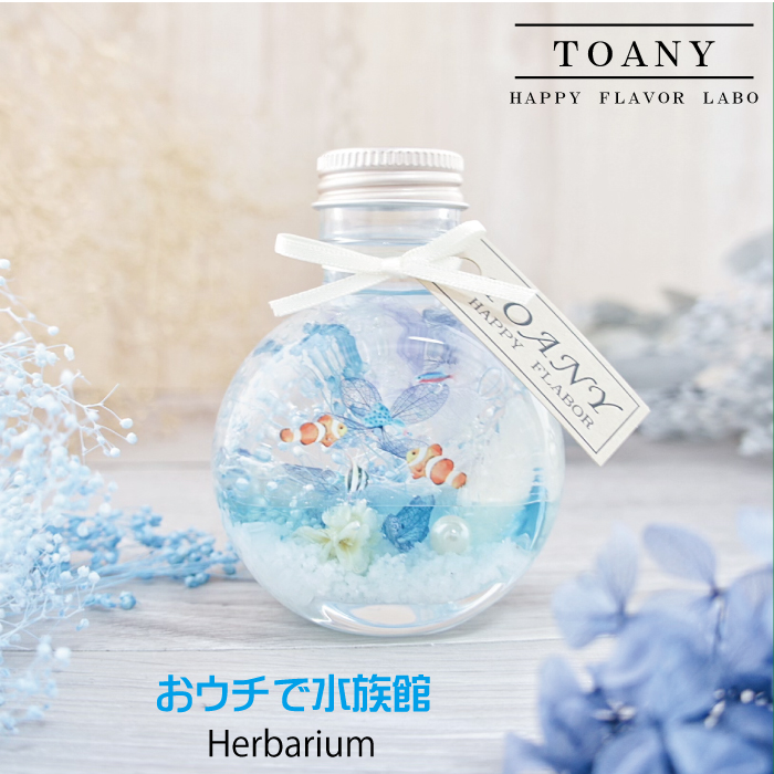 TOANYハーバリウム アクア | TOANY HAPPY FLAVOR（トアニーハッピーフレーバー）のプレゼント・ギフト通販 | TANP（タンプ）
