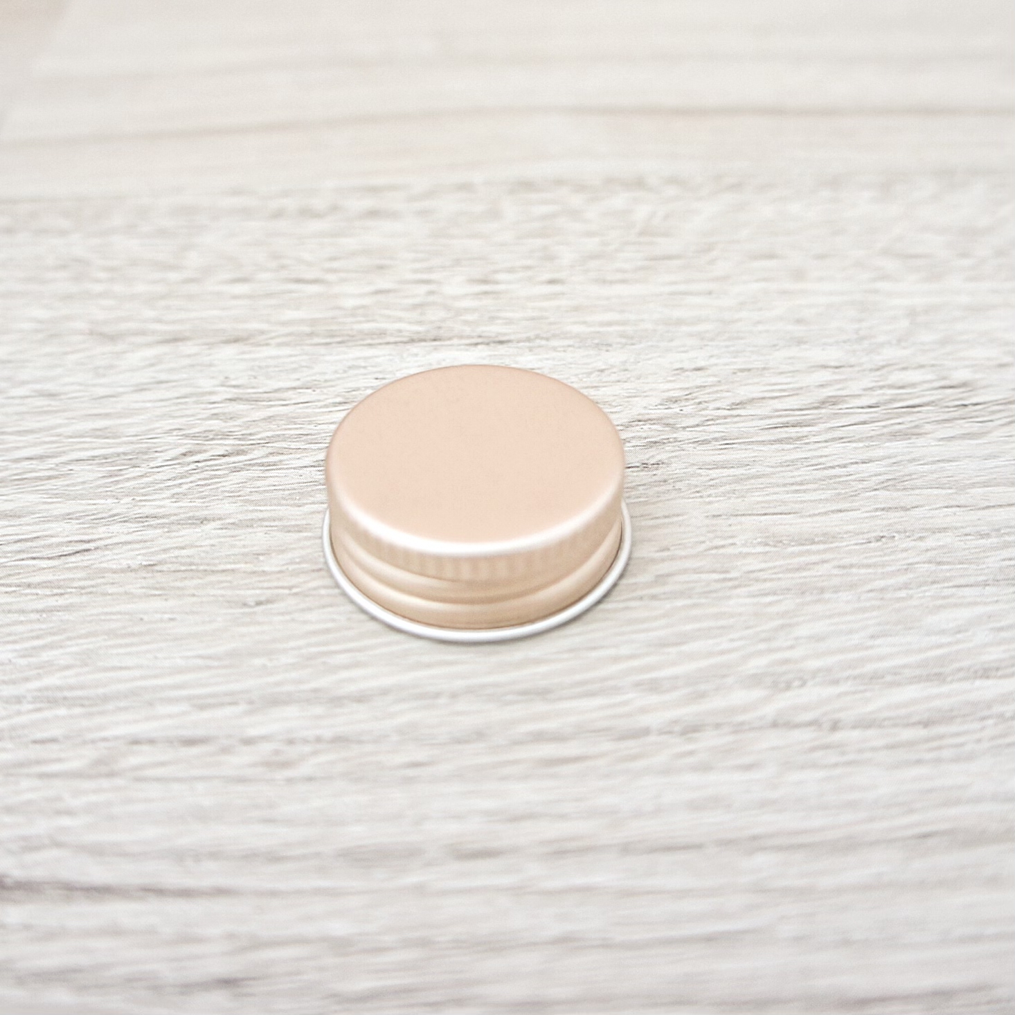  大人気 ハーバリウム おうちで水族館 