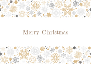 TOANYハーバリウム 金魚