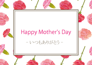 TOANYハーバリウム 金魚