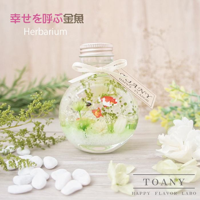 TOANYハーバリウム 金魚