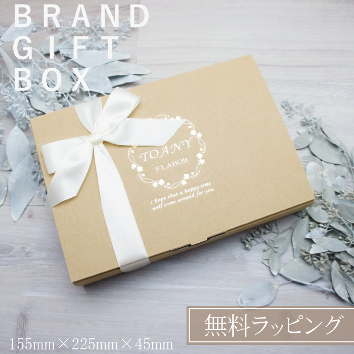 TOANYハーバリウム 金魚