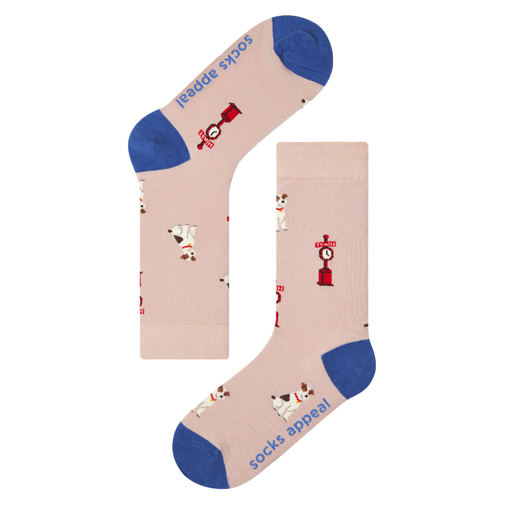 パディントンモデル