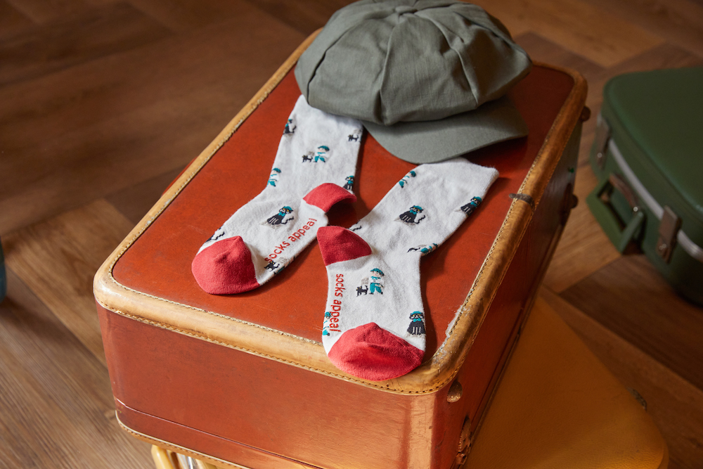 パディントンモデル