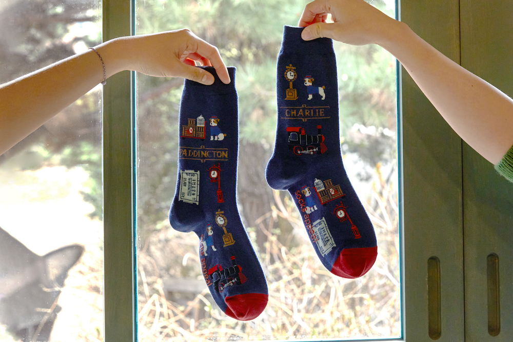 パディントンモデル