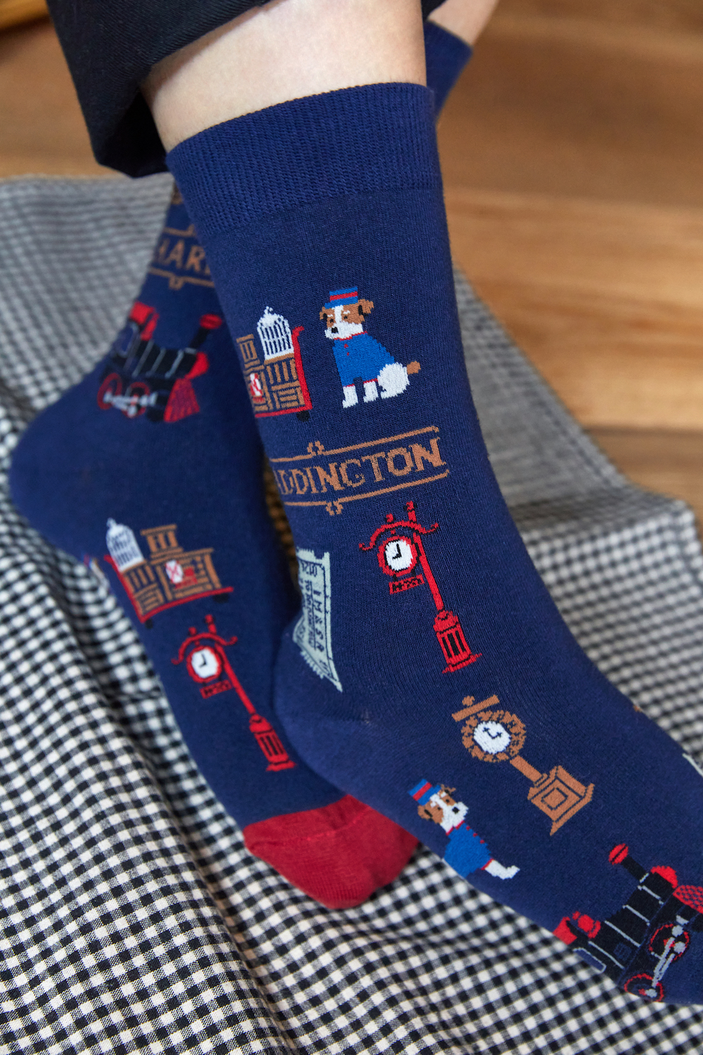 パディントンモデル