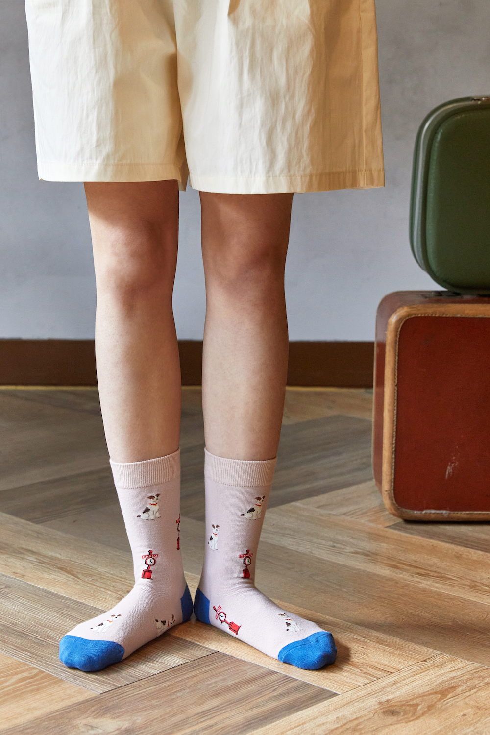 パディントンモデル