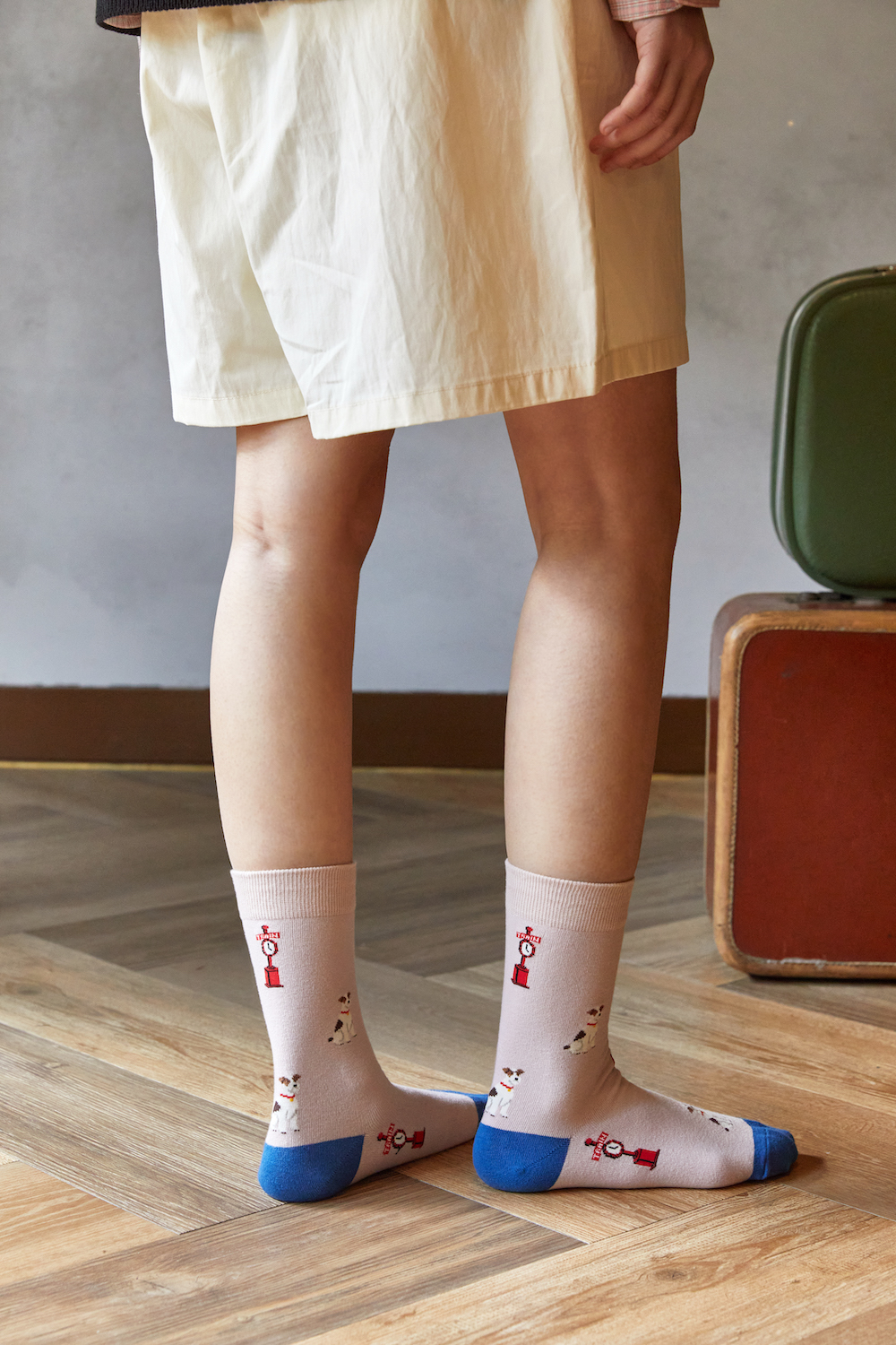 パディントンモデル