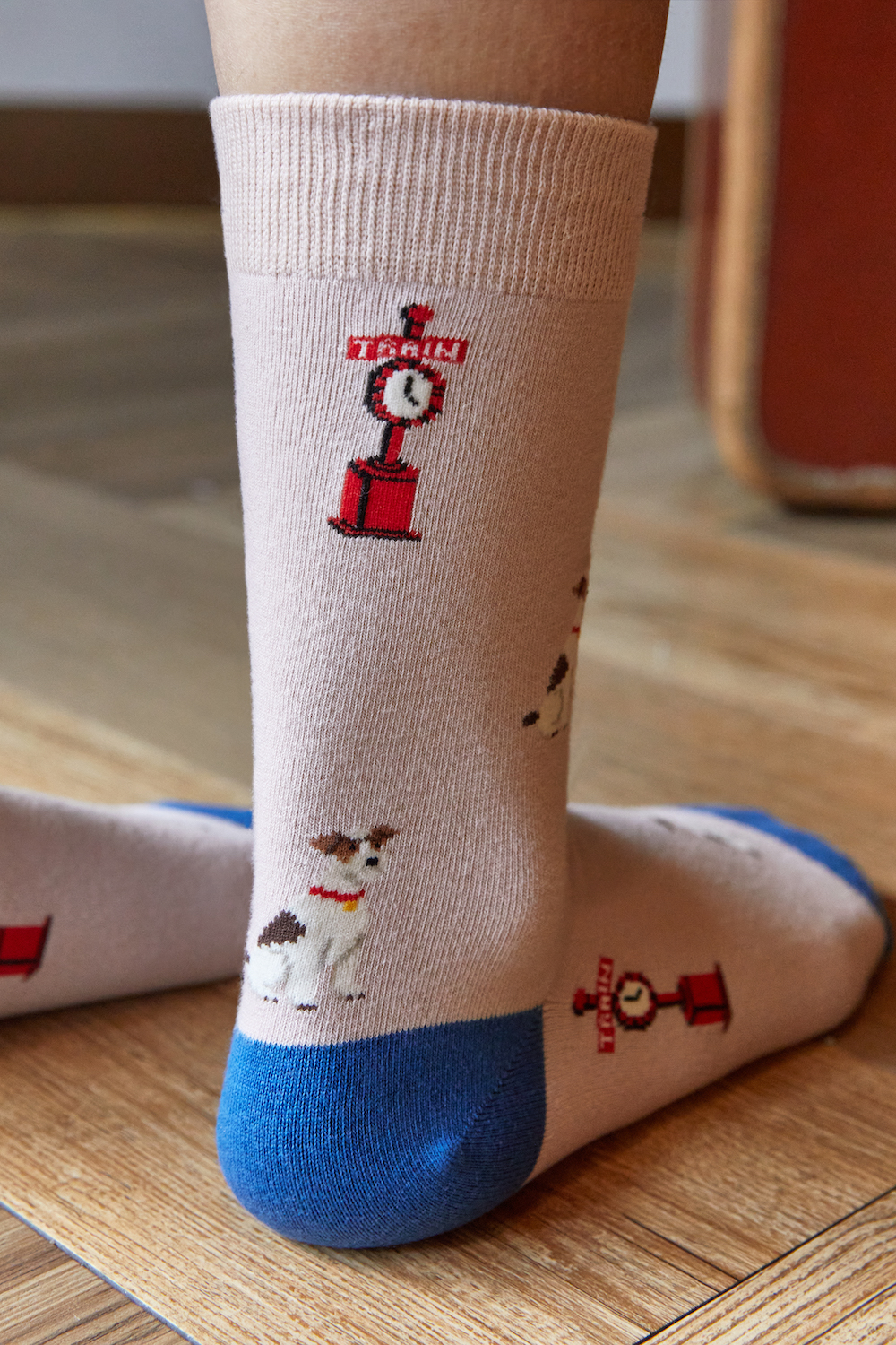 パディントンモデル