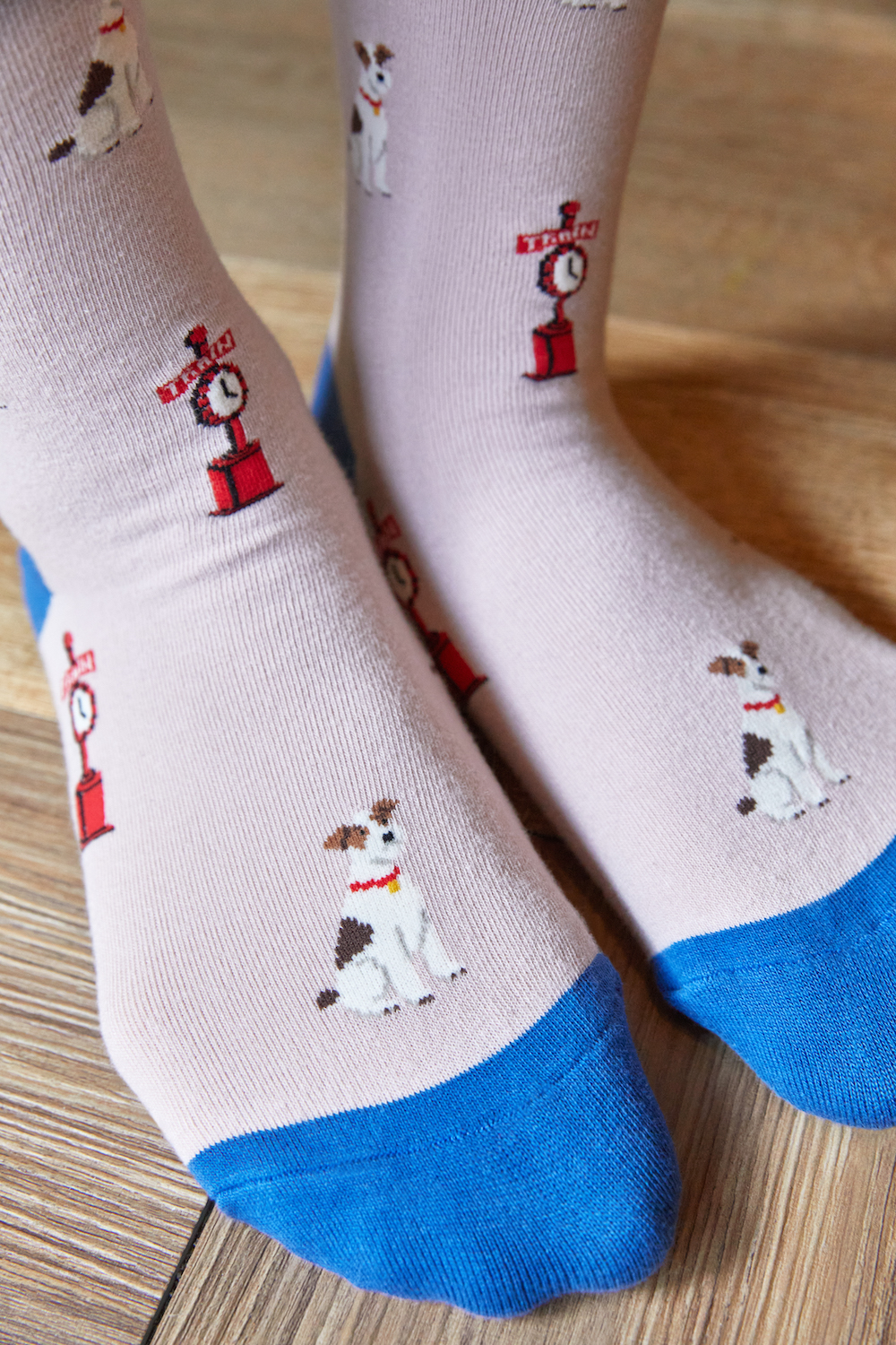 パディントンモデル