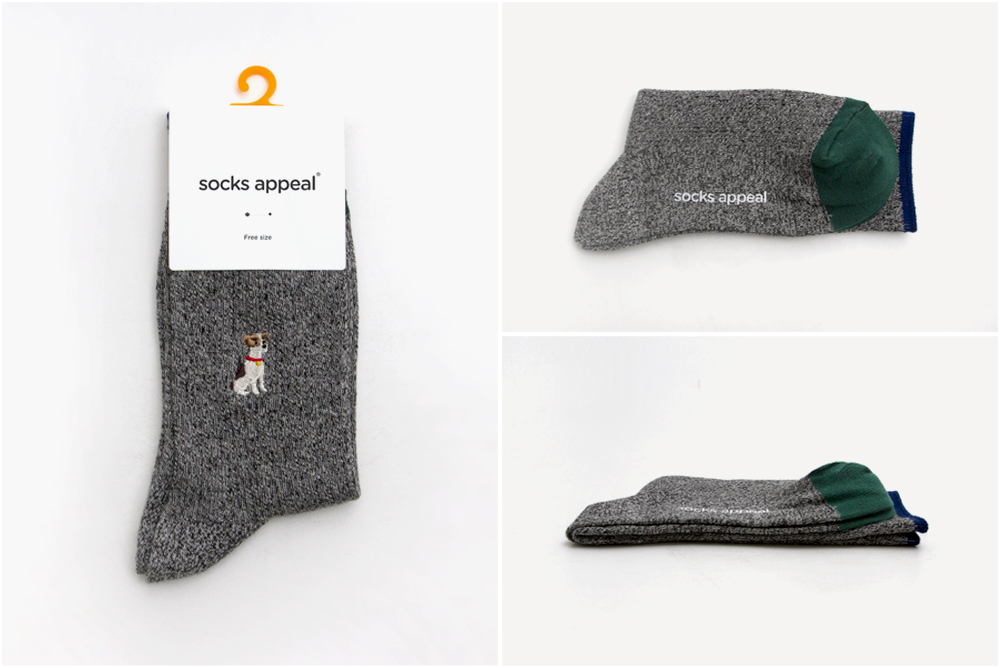 パディントンモデル