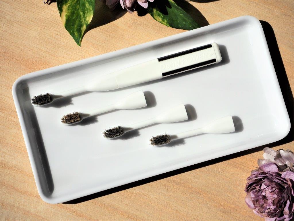 デンシパワー スペアブラシ