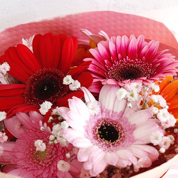 ガーベラブーケ【全2色】