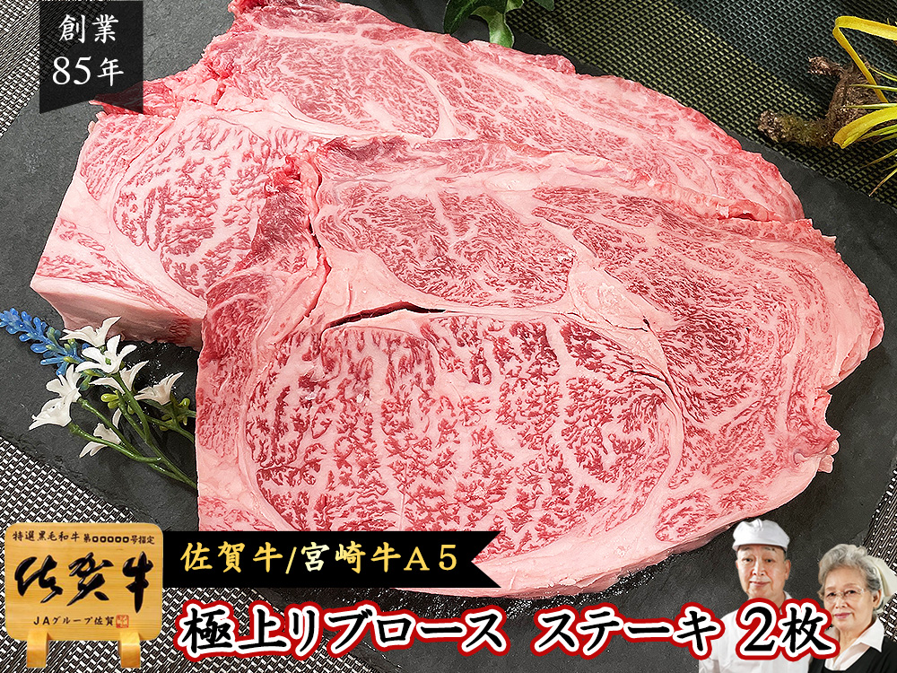 ふるさと納税 延岡市 宮崎牛 A4〜A5等級 サーロインステーキ 4枚合計800g ふるさと納税宮崎牛 サーロインステーキ 内容量 選べる