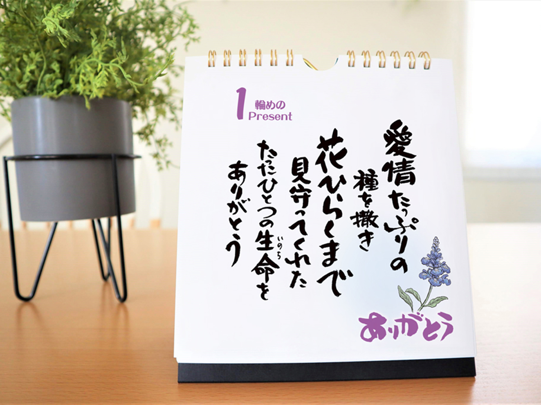 【年始の挨拶】日めくりカレンダー「お父さんに感謝」～言葉の花束～