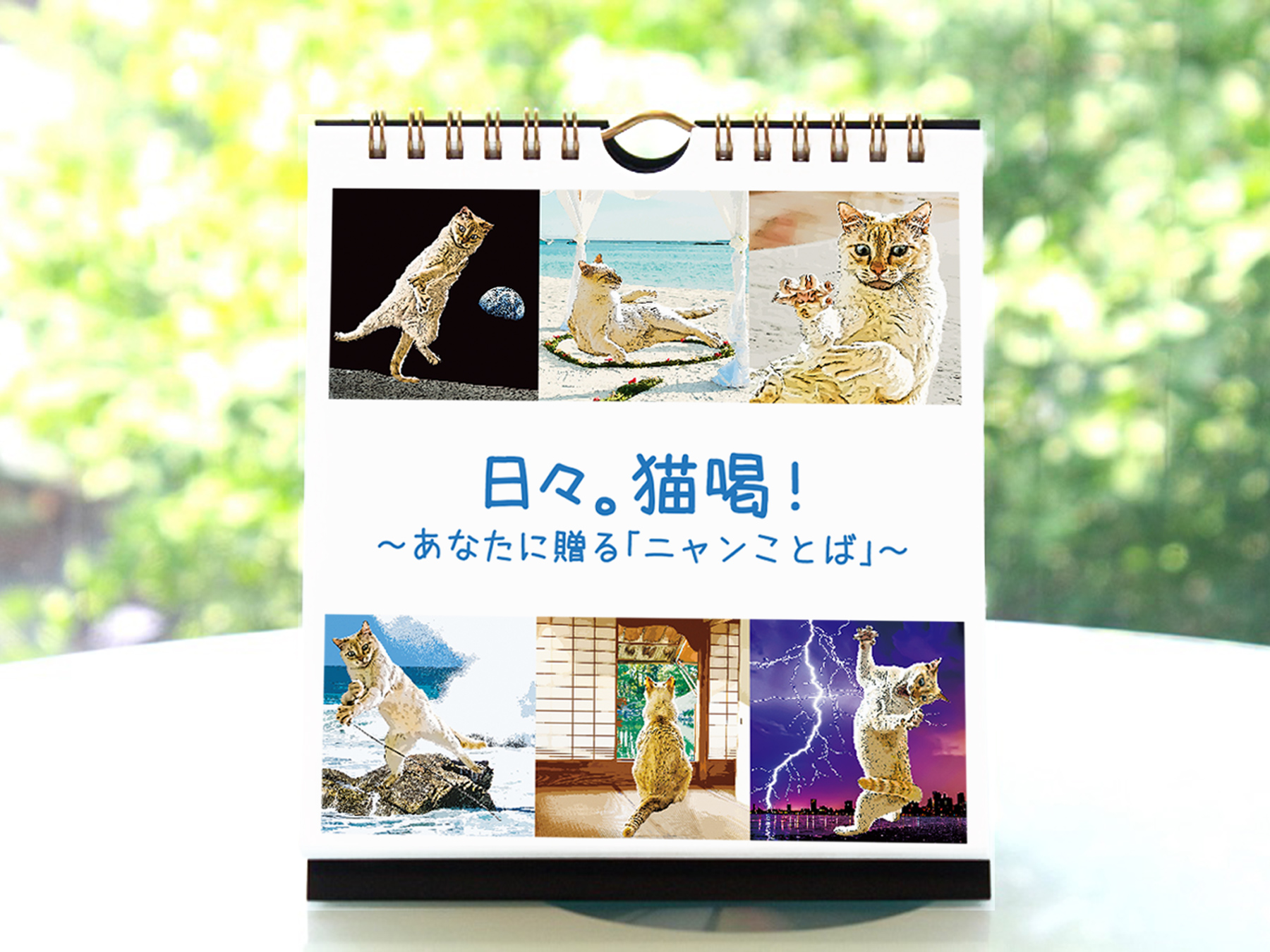 【新年も猫が好き】猫好きさんにお年玉!日めくりカレンダー「日々。猫喝!」