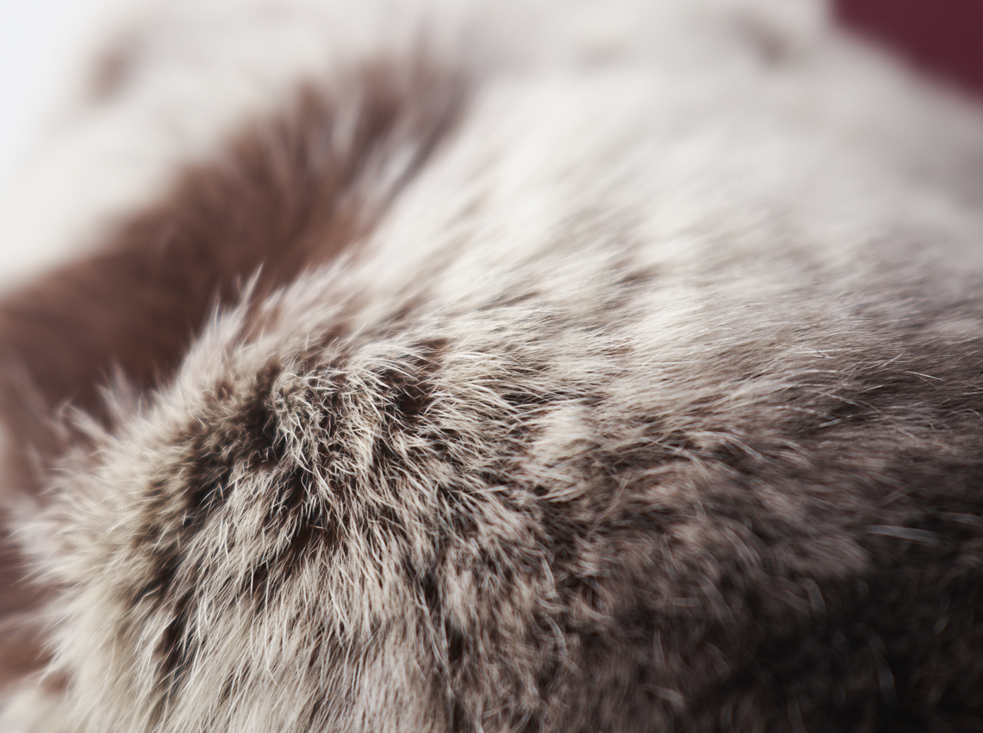 レディース手袋　セミロングジャージ