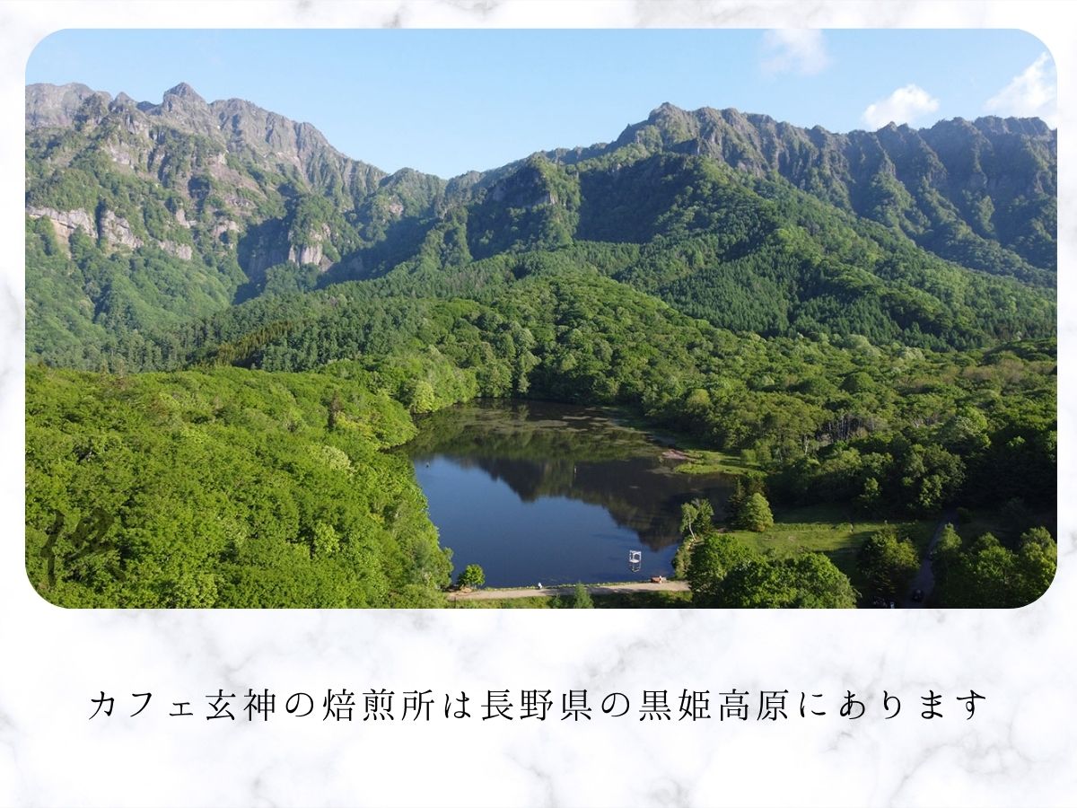 カフェ玄神（テトラバッグ8包入）