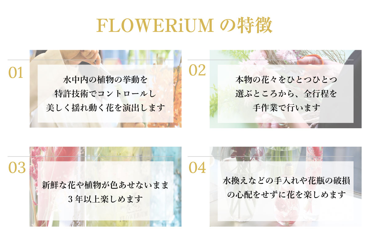 FLOWERiUM®︎ Animal Tori