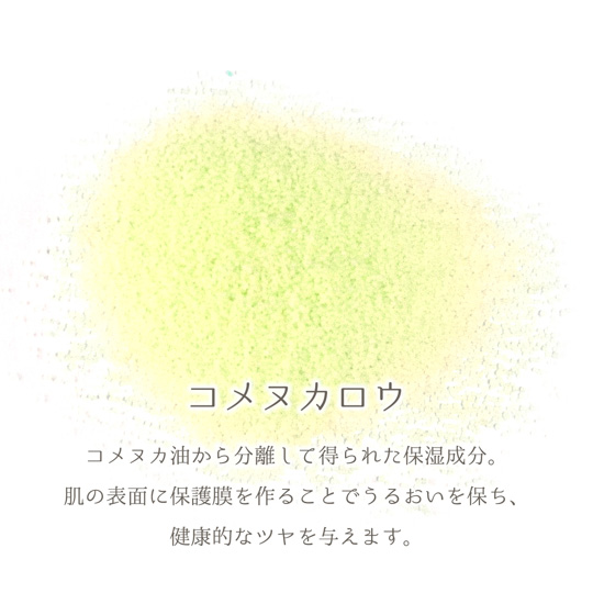 【タンプ限定】GRASSE TOKYOセット