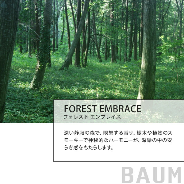 バウム BAUM ハンドケアセット 樹木の香り（アロマティック ハンドウォッシュ・ ハンドクリーム・ エコバッグ ）