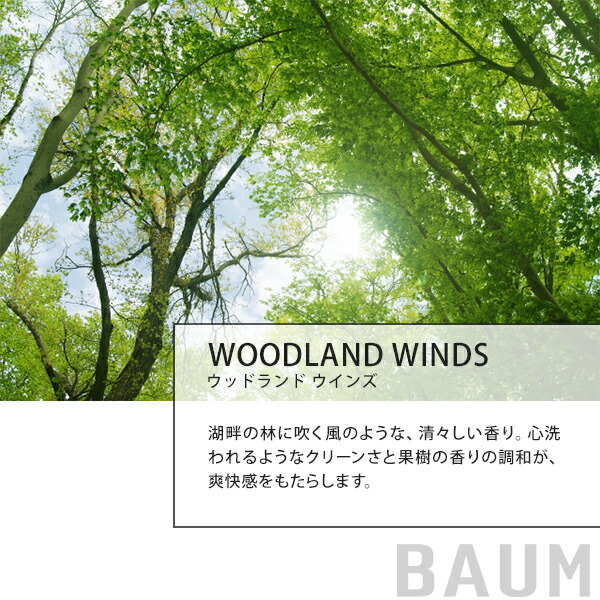 バウム BAUM ハンドケアセット 樹木の香り（アロマティック ハンドウォッシュ・ ハンドクリーム・ エコバッグ ）