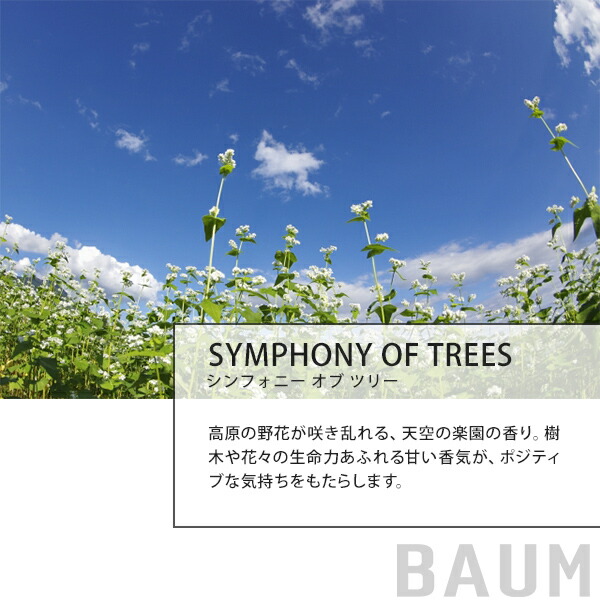 バウム BAUM ハンドケアセット 樹木の香り（アロマティック ハンドウォッシュ・ ハンドクリーム・ エコバッグ ）