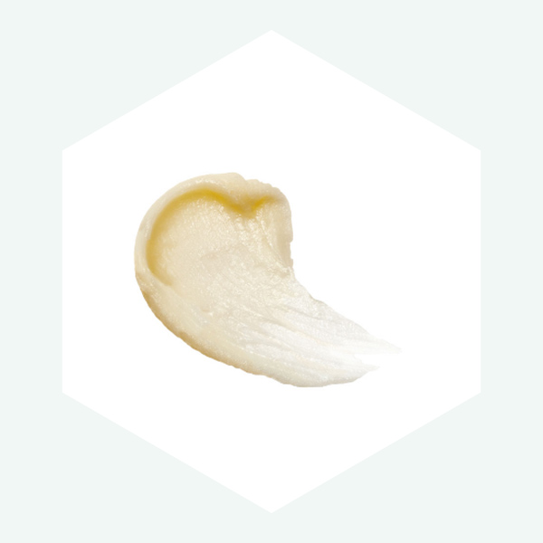 ハニーロア ハニーメルティコンク honey08