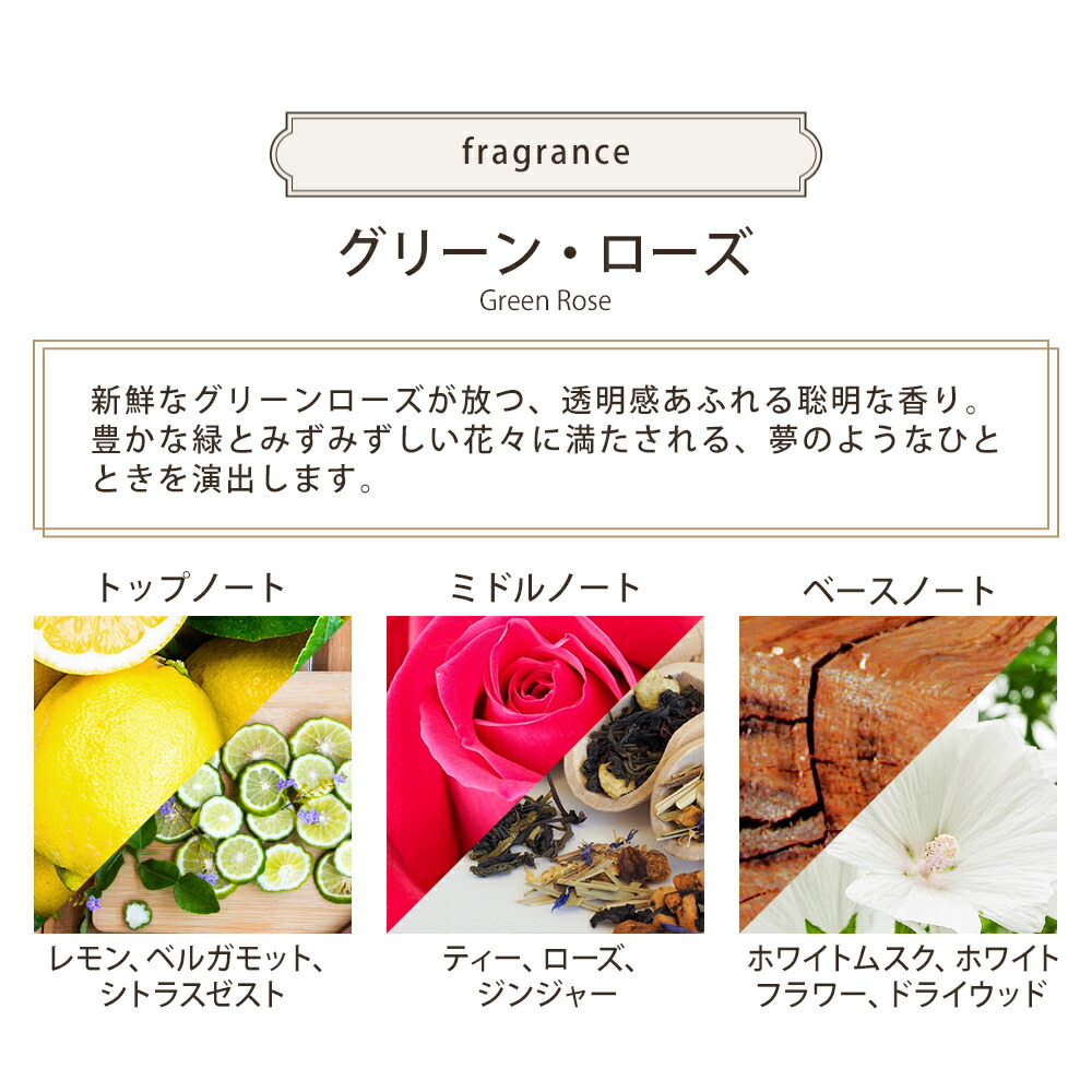 サボン SABON ボディスクラブS 320g sabon14