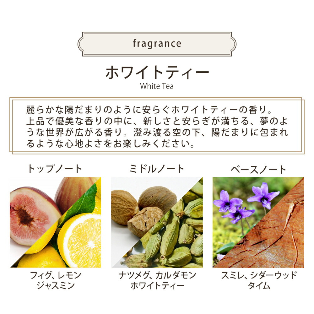 サボン SABON ボディスクラブ 600g sabon07