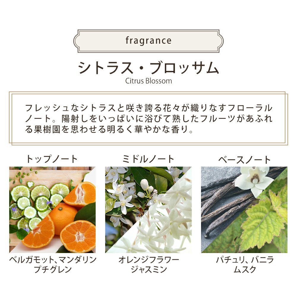 サボン SABON ボディスクラブ 600g sabon07