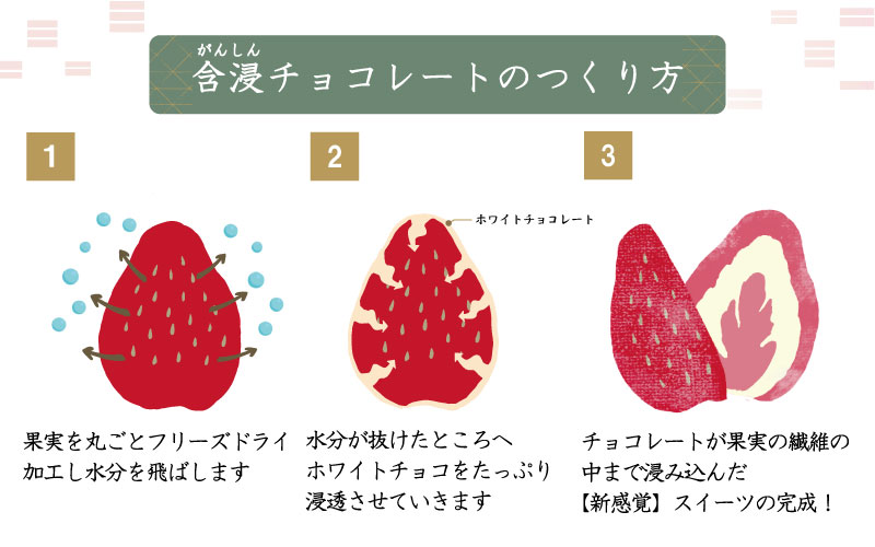 芦屋含浸果実 寿苺 【スタンドバッグ】