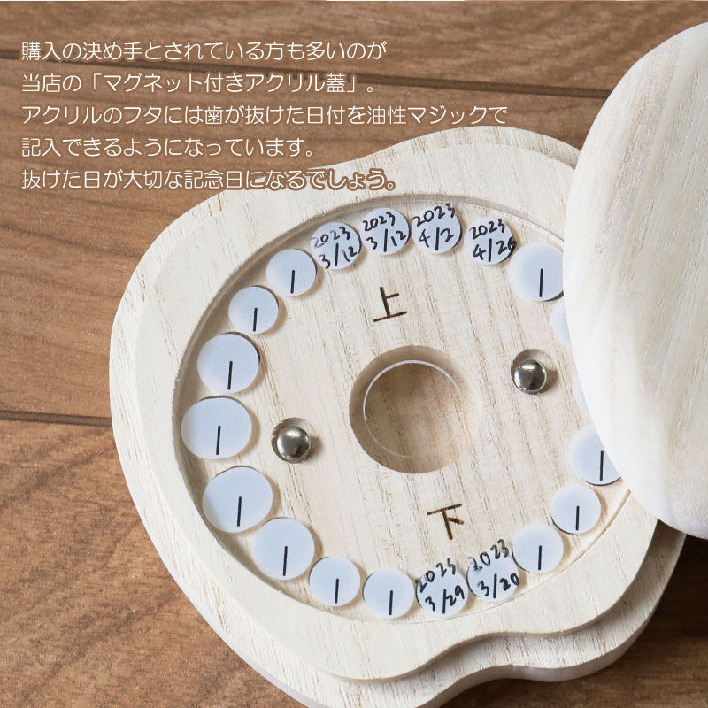 【名入れギフト】乳歯ケース・ティース君