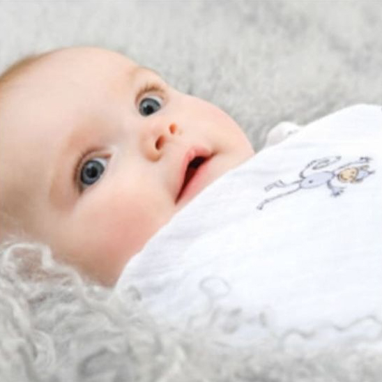 モスリンスワドル2枚入り+CLAYD WEEKBOOK