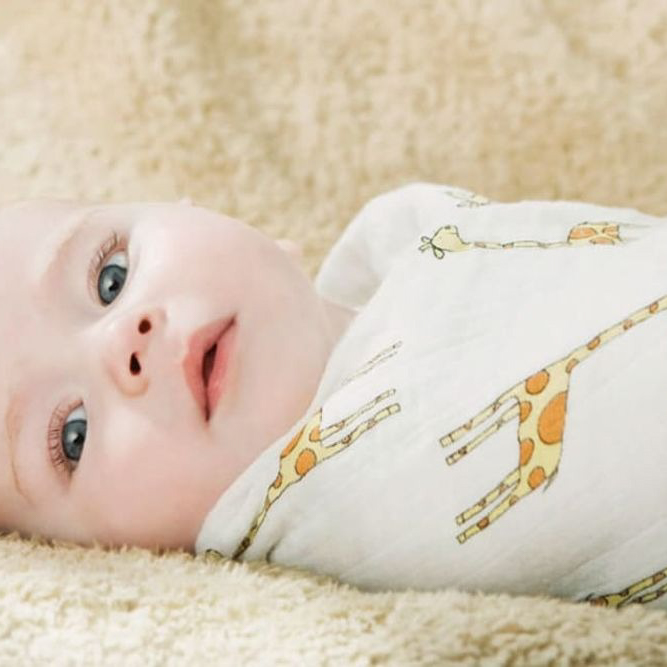 モスリンスワドル2枚入り+CLAYD WEEKBOOK