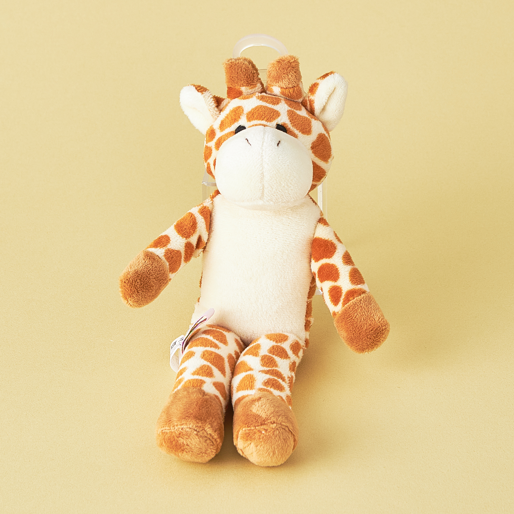 【タンプ限定出産祝い】初めてのおもちゃセット