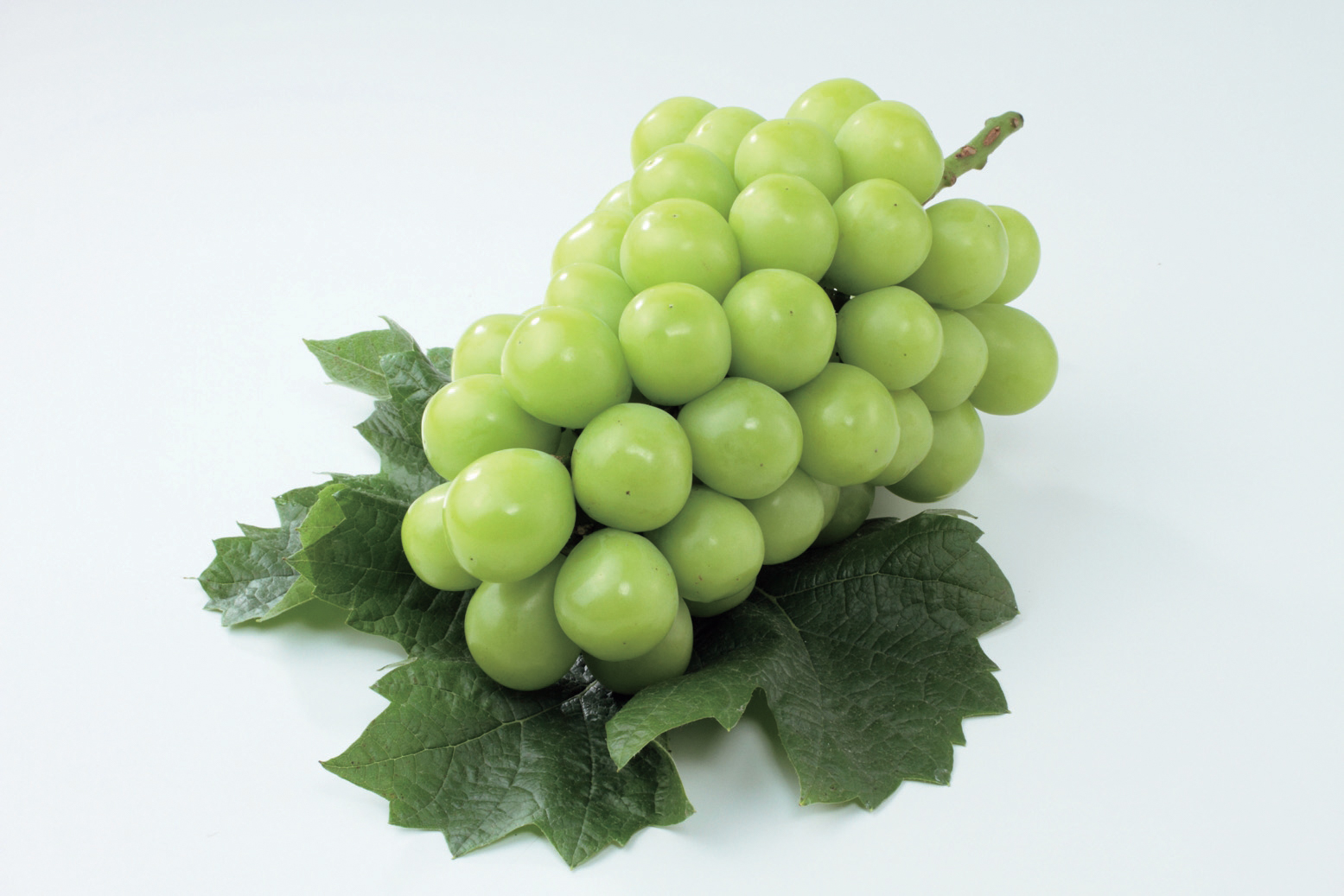 JTBえらべるギフト 柊