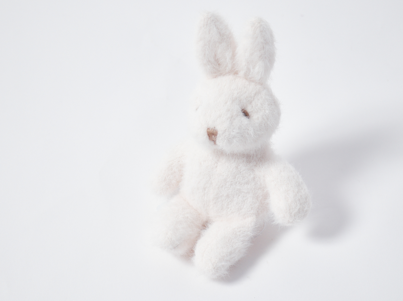 【WOMEN】BUNNY　ティッシュポーチ＆モコぬいぐるみセット