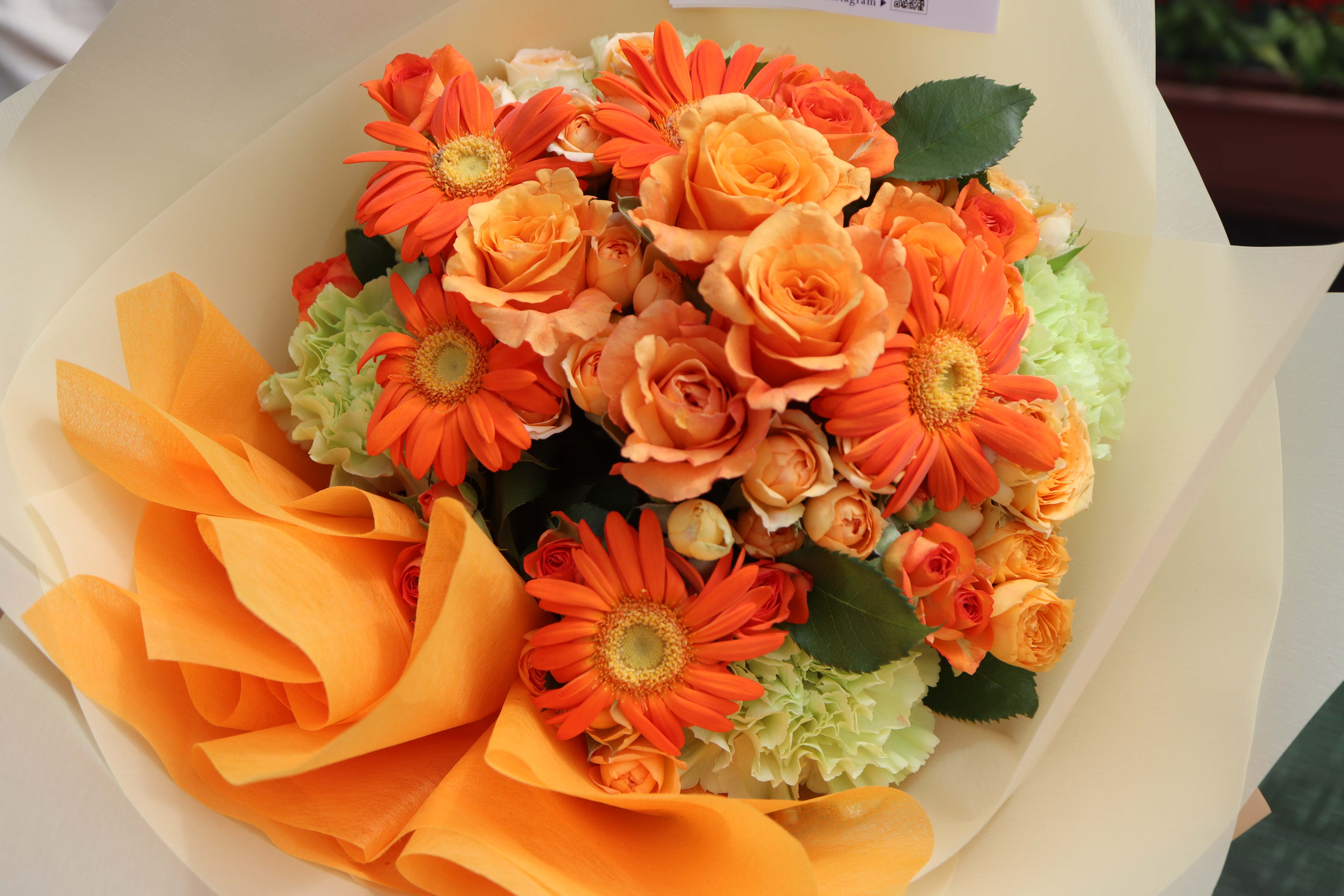 ニジェル