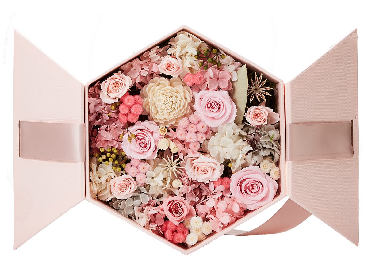 Box Premium6